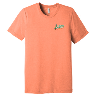 Tee -Digital Print-Full Color- - Unisex Triblend Short Sleeve Tee Thumbnail