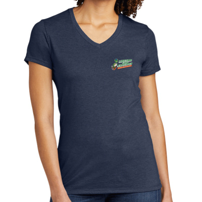 Tee-Digital Print-Full Color- - Women's Tri Blend V Neck Tee Thumbnail