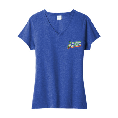 Tee-Digital Print-Full Color- - Ladies Fan Favorite Blend V Neck Tee Thumbnail